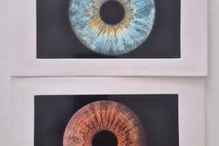 Irispicture - 1