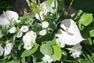 Fiori di Pepe - 5