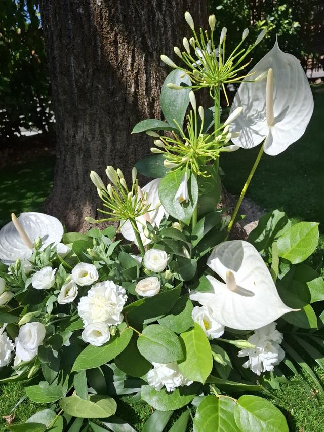 Fiori di Pepe - 2