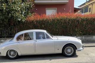 Auto per matrimoni - 8