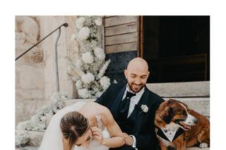 Portami Con Te - Wedding Day Dog Care - 15
