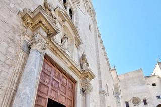 Art & Nature Designer - 15