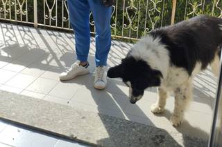 Matteo Cavassa Wedding Photographer - 10