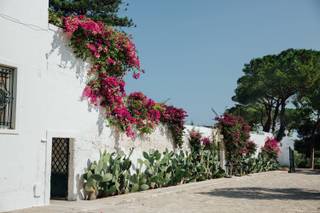 Masseria San Nicola - 11