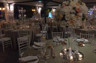 Flavia Bruni - Daisy Flowers - 5