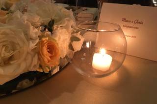 Flavia Bruni - Daisy Flowers - 6