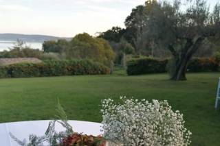 Vivaiosettemetri - 19