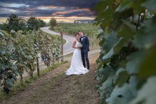 Domenico Molinari - 19