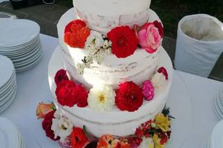 Vivaiosettemetri - 20