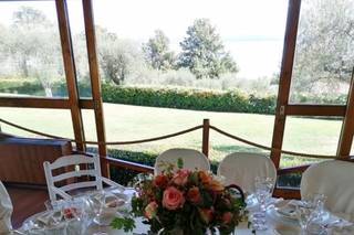 Vivaiosettemetri - 21