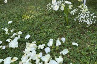 Punto Fiore - 15