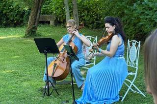 Duo Briand - 8