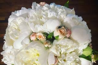 Fioreria La Coccinella - 16