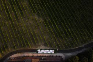 Villa Acquaviva Wine Resort - 9