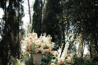 Carla Home & Flowers - 9