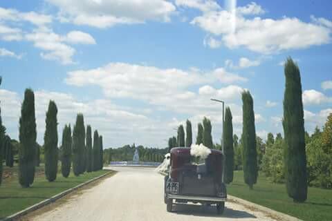 Amanda Alessandrini Fotografa - 3