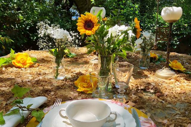 Titti Guccini Events 2