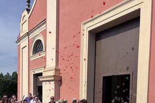 L'angolo dei fiori - 8