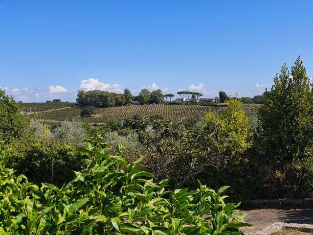 Villa Galanti - 3
