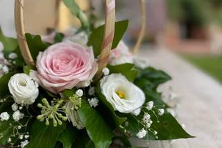 Bianchi Fiori e Piante - 26