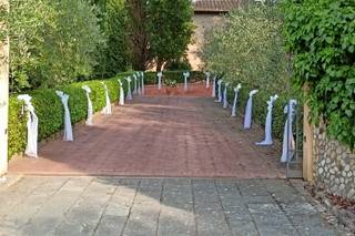 Bianchi Fiori e Piante - 27