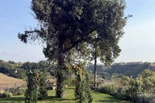 Agriturismo Biologico e Dimora Storica Borgo di Tragliata - 19