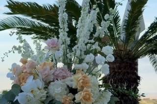 Margi Events - 7