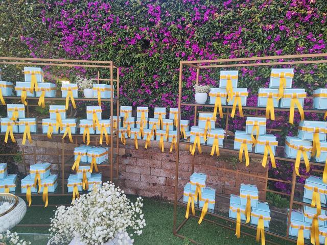 Candida Celiento - 4