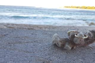 Patrizia Bonati - 7