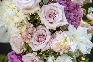 Patrizia Cova EcoFlowerDesigner - 7