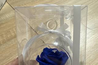 L'Oasi del Fiore di Debora - 1