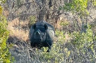 Maniaci dei Viaggi - 5