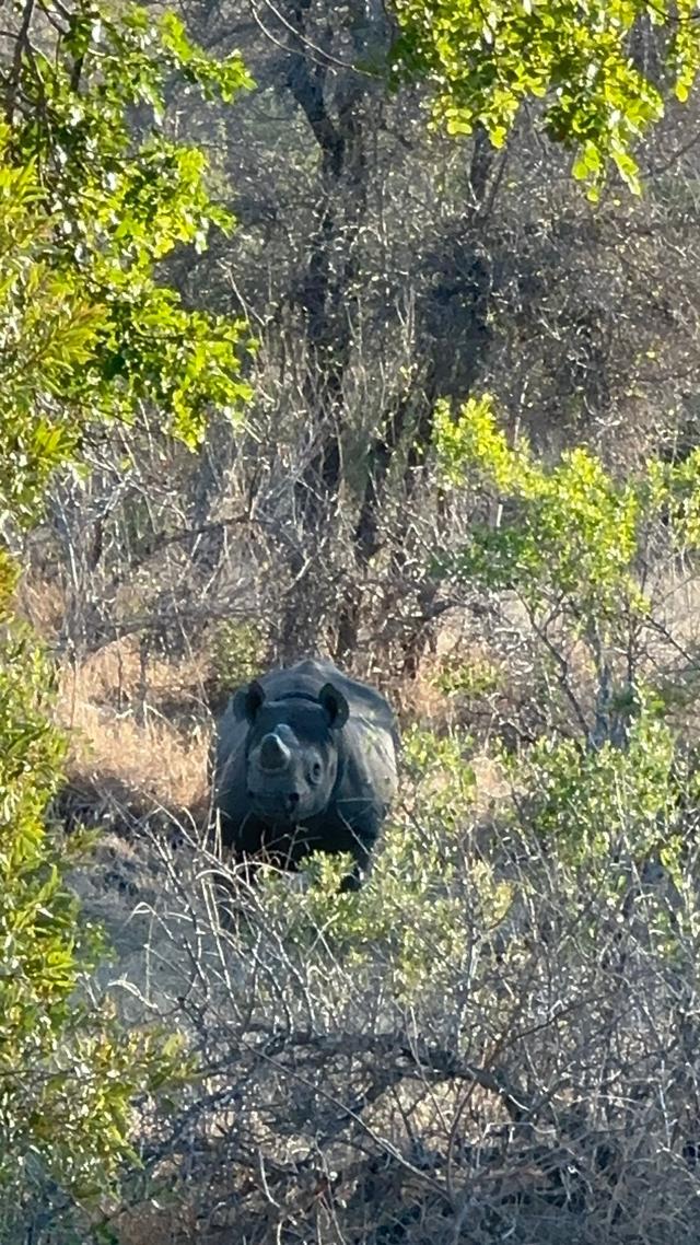 Maniaci dei Viaggi - 2