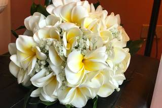 Vulcano dei Fiori - 18