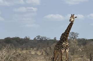 Maniaci dei Viaggi - 7