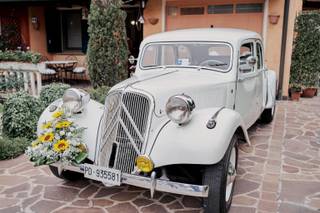 Autoservizi dei Colli - 5