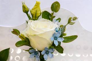 Fiori De Angelis - 9