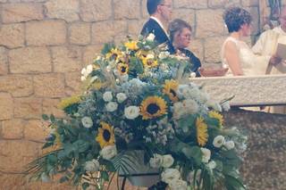 Il giardino delle meraviglie - 26