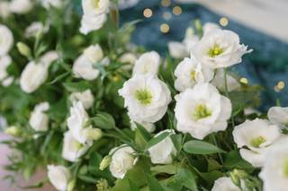 Tenuta Donna Vittoria - 10