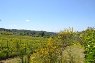 Antico Mulino - 8