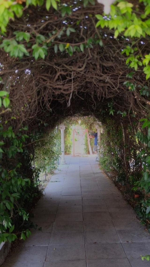 Vanilla Rose Studio - 3