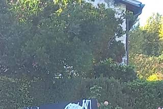 Laura Calafiore - Wedding Speed Painting & Show Live - 17