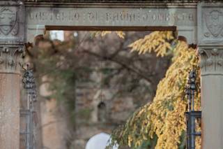 Golden Bloom - 13