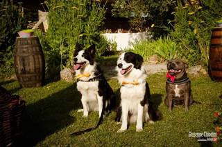 FotoStudio Chiodini - 12