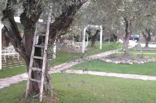 Campo Antico - 6