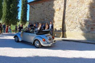 Beetle on dream - 19