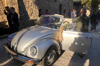 Beetle on dream - 21