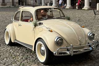 The Wedding Beetle - 7