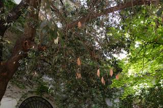 Masseria Casamarte - 10