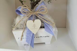 Centro Bonsai Iodice - 19